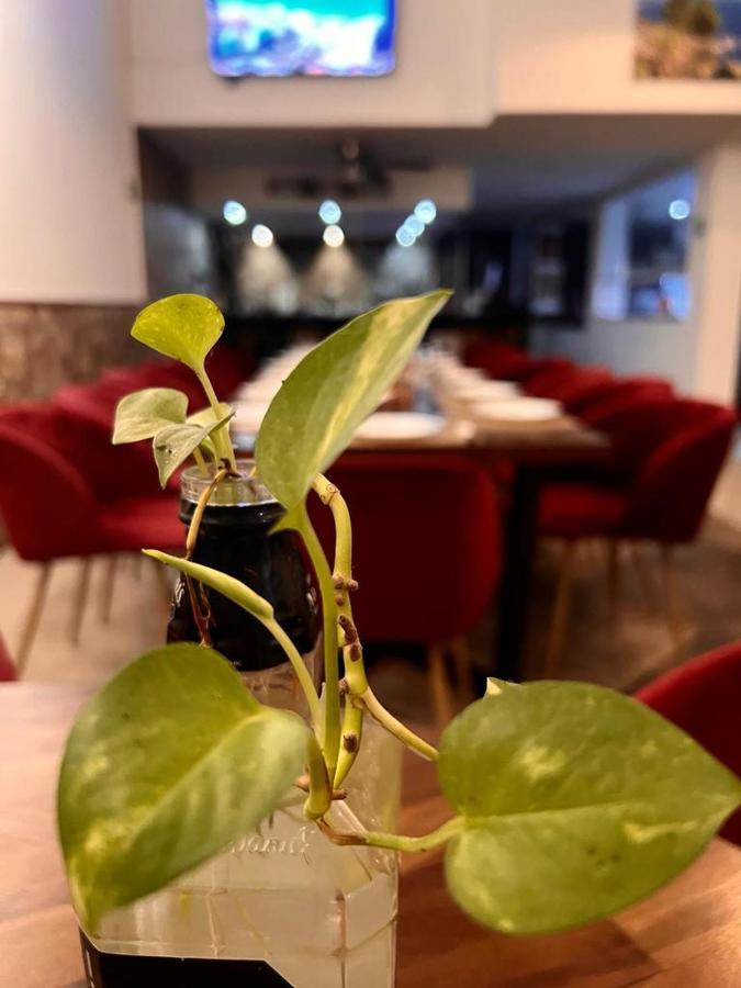 Deluxe Condos 42 Playa del Carmen Dış mekan fotoğraf
